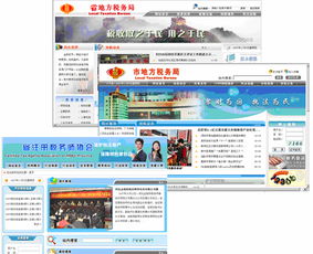 地方稅務(wù)局互聯(lián)網(wǎng)網(wǎng)站軟件開發(fā)及系統(tǒng)集成的網(wǎng)絡(luò)與信息安全軟件開發(fā)實踐